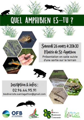 affiche_WDAN_amphibiens.jpg